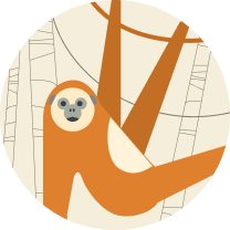 BIODIVERSITY CONSERVATION PROJECTS