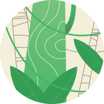 Forest protection and restoration projects